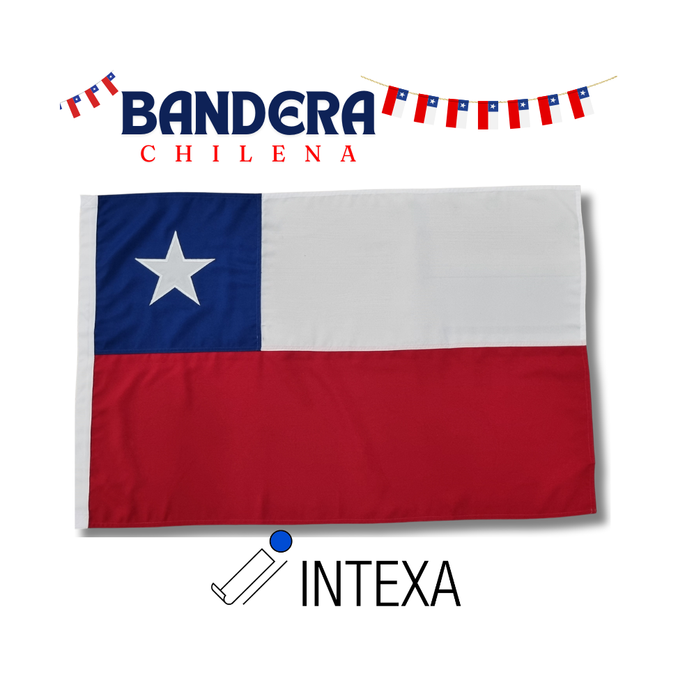 Bandera Chilena 60x90 Cms.