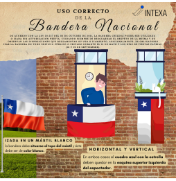 Bandera Chilena 290x435 Cms.